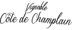 https://cotedechamplain.com/